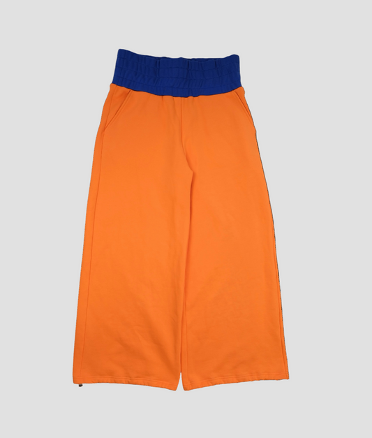 DBZ Sweats